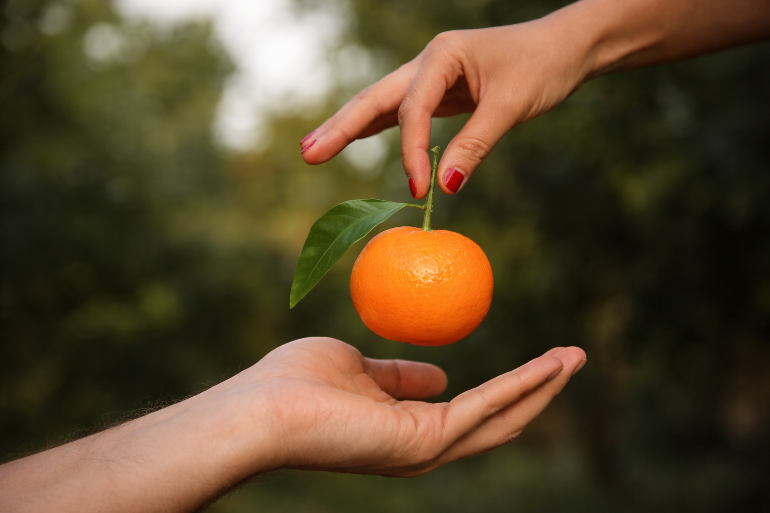 Seasonal Buying Guide: Spanish Calendar for Importers