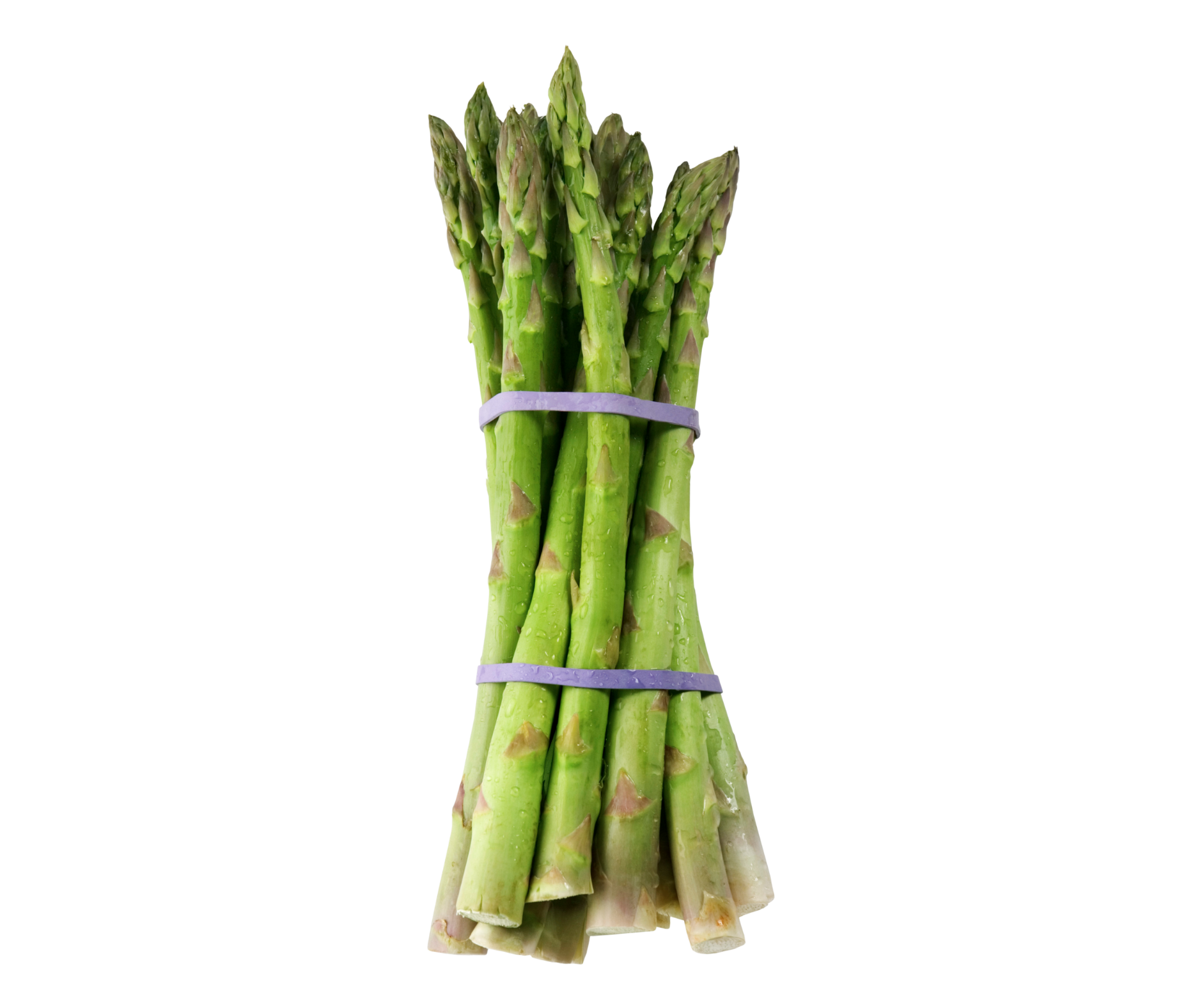 asparagus green esparrago verde export spain export spain 