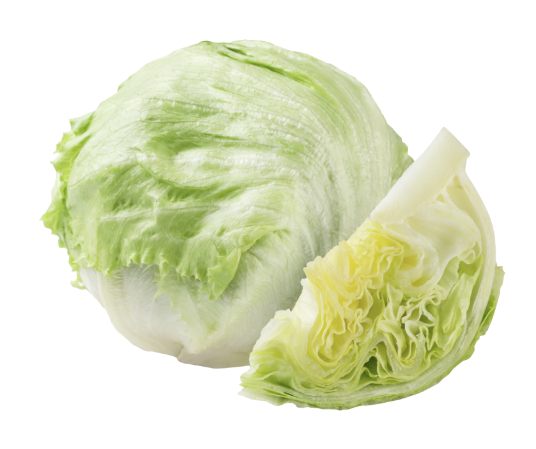 iceberg lettuce lechuga export spain